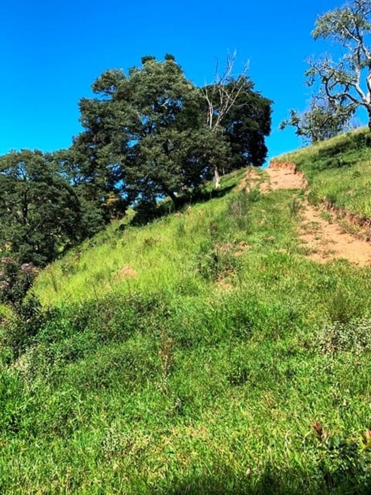 Terreno à venda, 72000m² - Foto 8