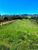 Terreno, 7 hectares - Foto 1