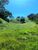 Terreno, 7 hectares - Foto 4