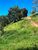 Terreno, 7 hectares - Foto 8