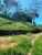 Terreno, 7 hectares - Foto 6
