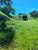 Terreno, 7 hectares - Foto 7