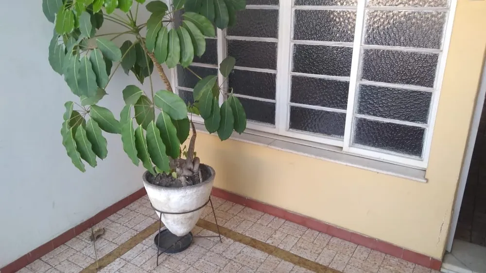 Casa, 4 quartos - Foto 2