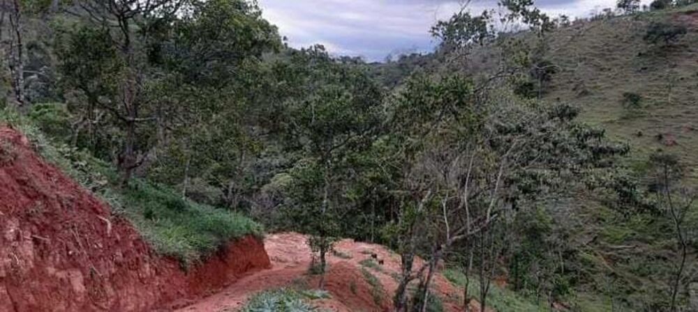 Terreno à venda, 1000m² - Foto 3
