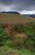 Terreno, 1000 m² - Foto 2