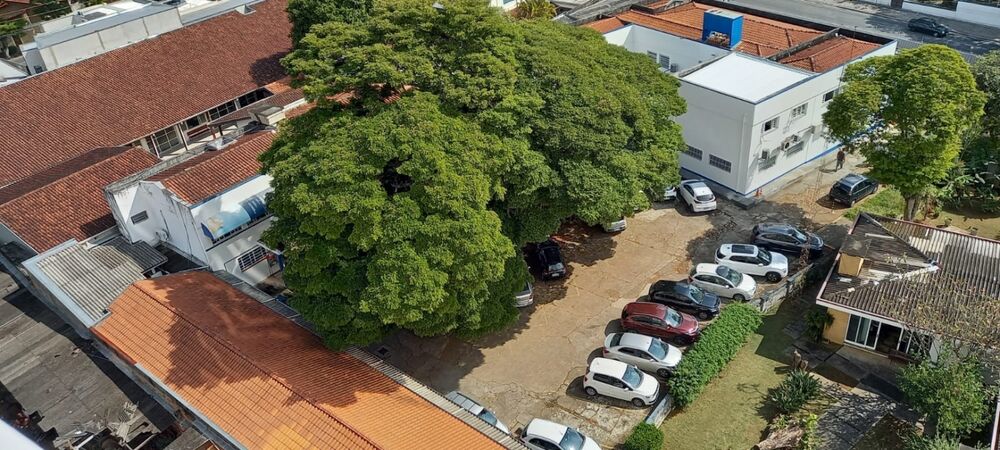 Apartamento, 3 quartos, 85 m² - Foto 16