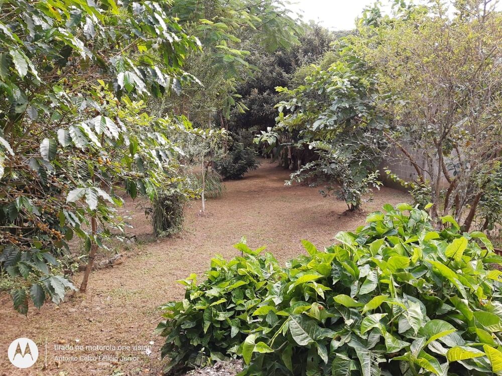 Chácara à venda com 1 quarto, 4000m² - Foto 9