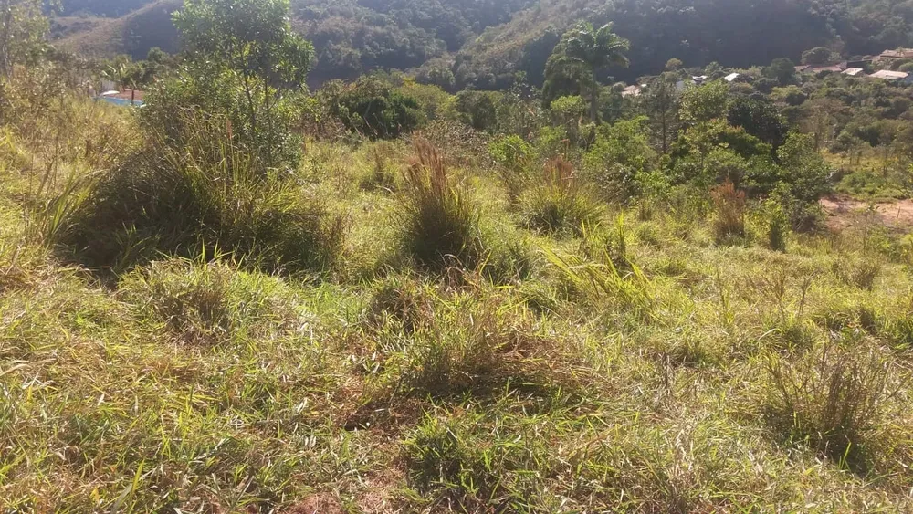 Terreno, 608 m² - Foto 2