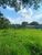Terreno, 1500 m² - Foto 4