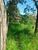 Terreno, 1500 m² - Foto 3