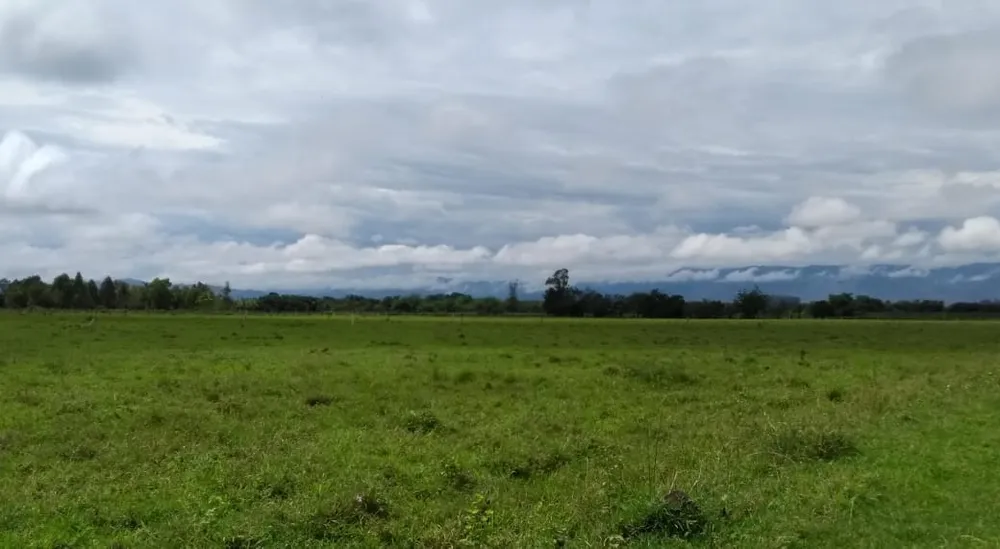 Terreno, 2 hectares - Foto 4