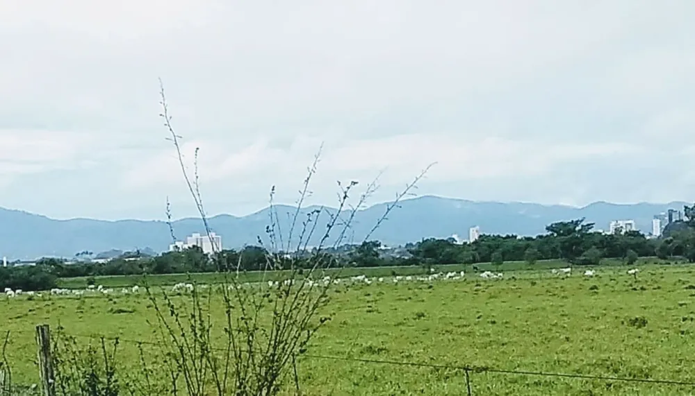 Terreno, 2 hectares - Foto 3