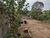 Terreno, 1280 m² - Foto 1