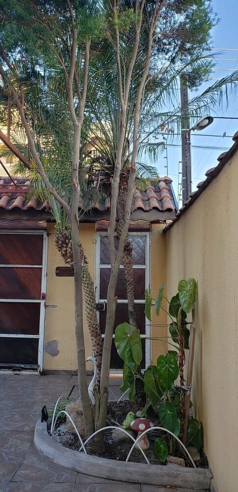 Casa, 3 quartos, 179 m² - Foto 5