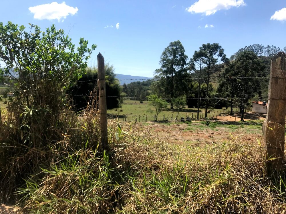 Sítio à venda com 4 quartos, 60000m² - Foto 7