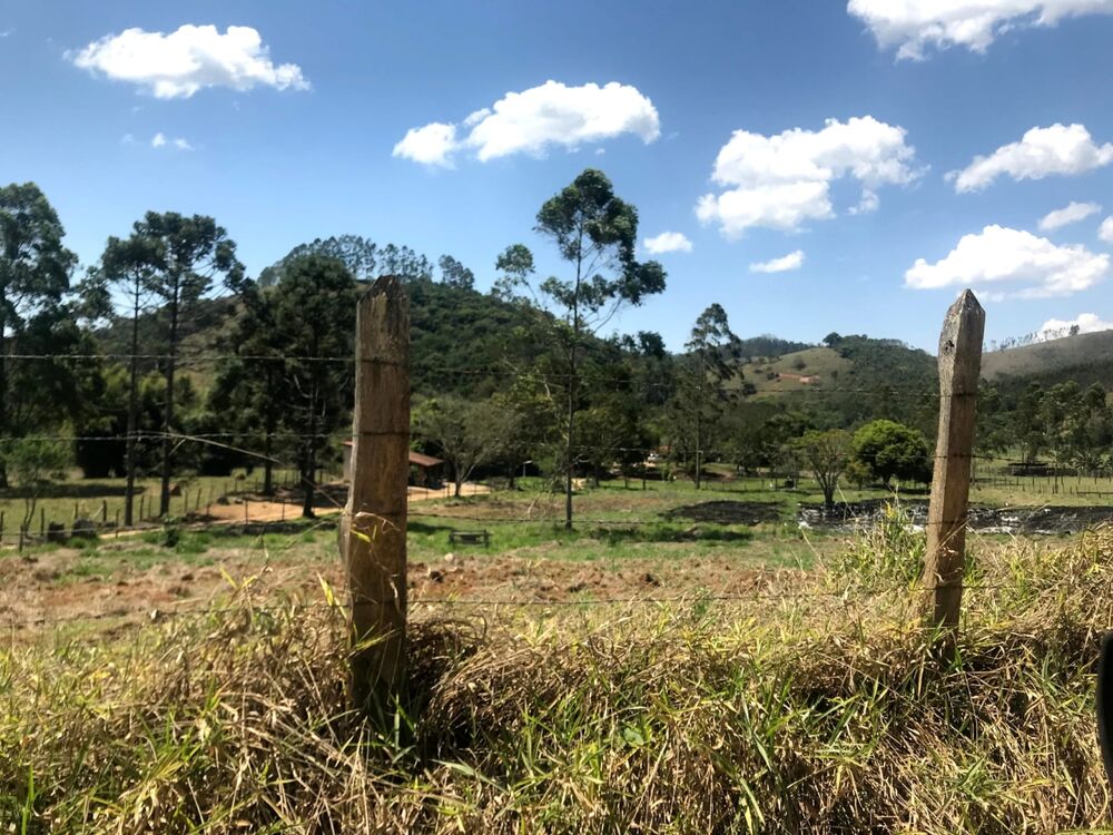 Sítio à venda com 4 quartos, 60000m² - Foto 8