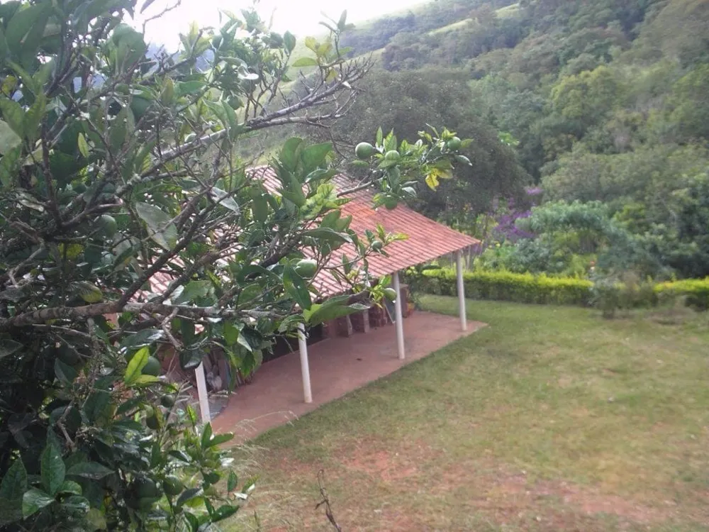 Terreno - Foto 3