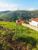 Terreno, 370 m² - Foto 1