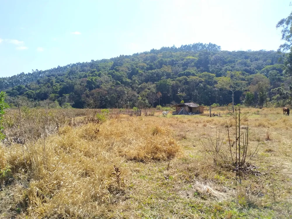 Terreno, 170 hectares - Foto 3