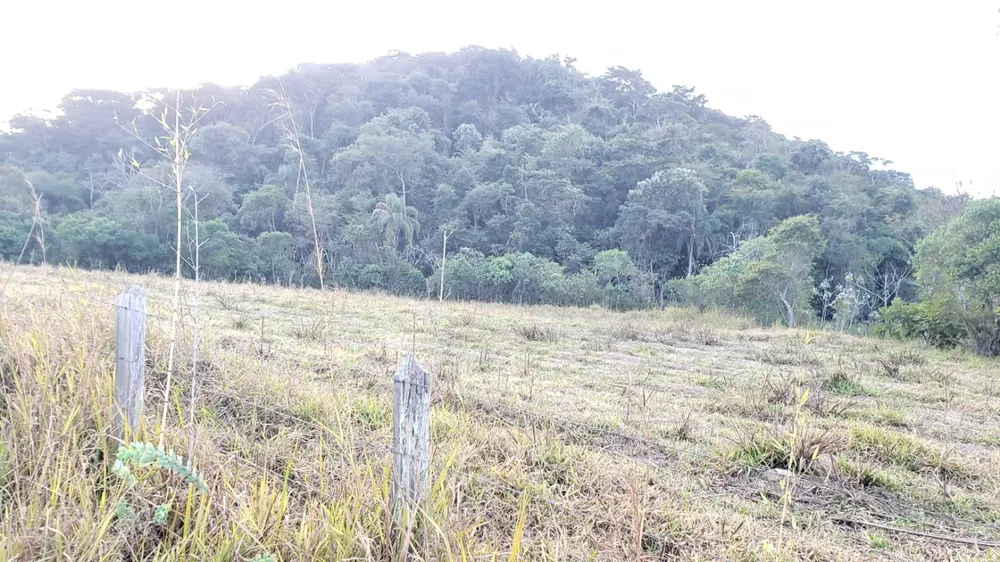 Terreno, 3 hectares - Foto 1