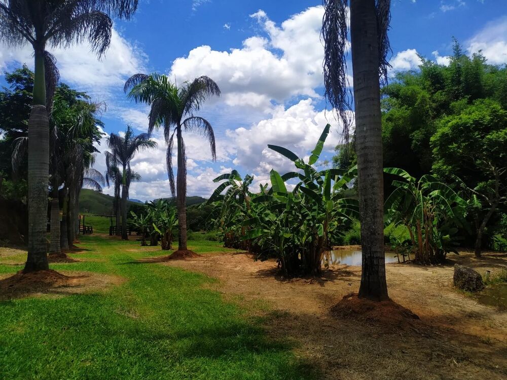 Terreno, 2555 m² - Foto 1