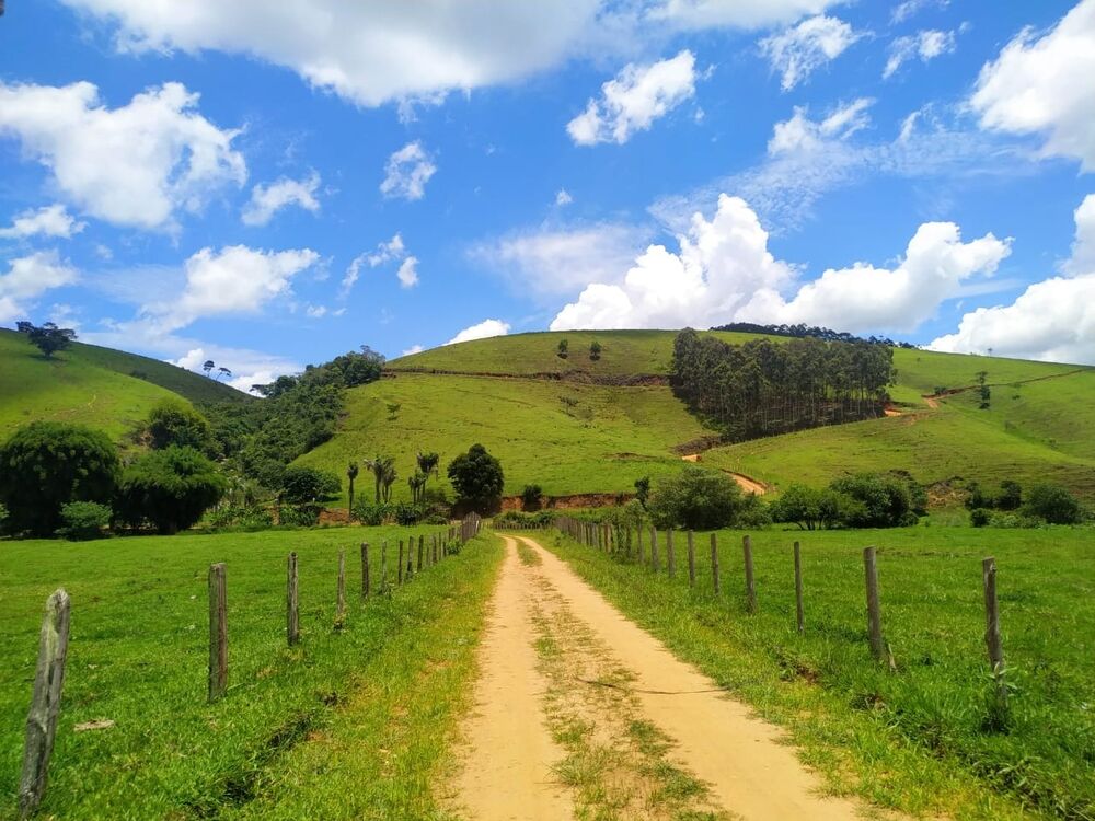 Terreno, 2555 m² - Foto 4