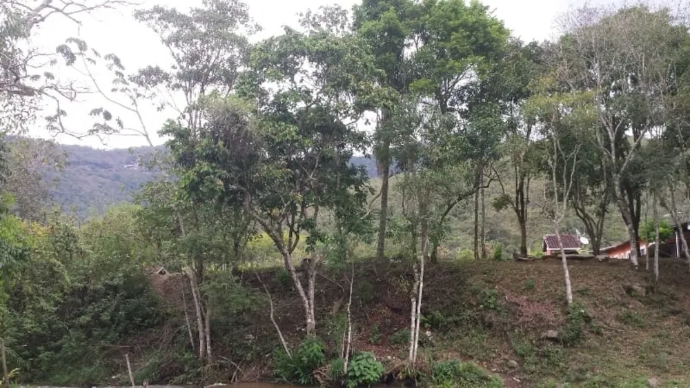 Chácara, 3 quartos, 10000 m² - Foto 1