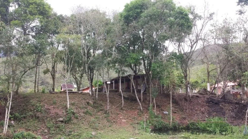 Chácara, 3 quartos, 10000 m² - Foto 2