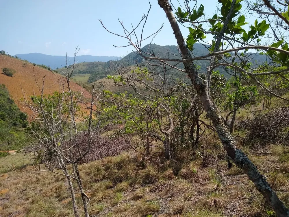 Terreno, 3 hectares - Foto 1