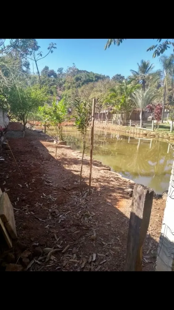 Sítio, 3 quartos, 3000 m² - Foto 3