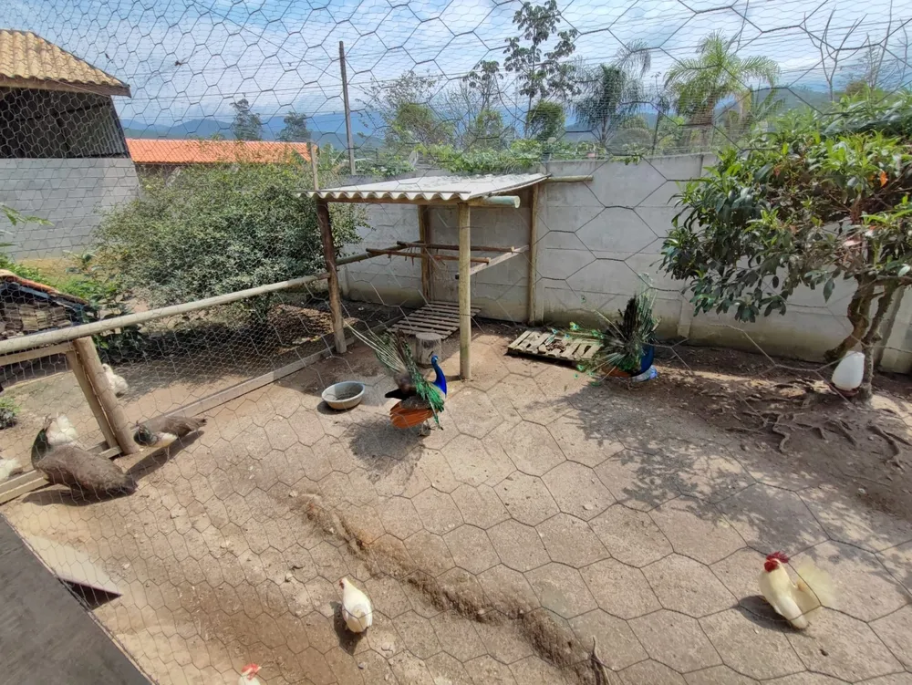 Chácara, 2 quartos, 2100 m² - Foto 3