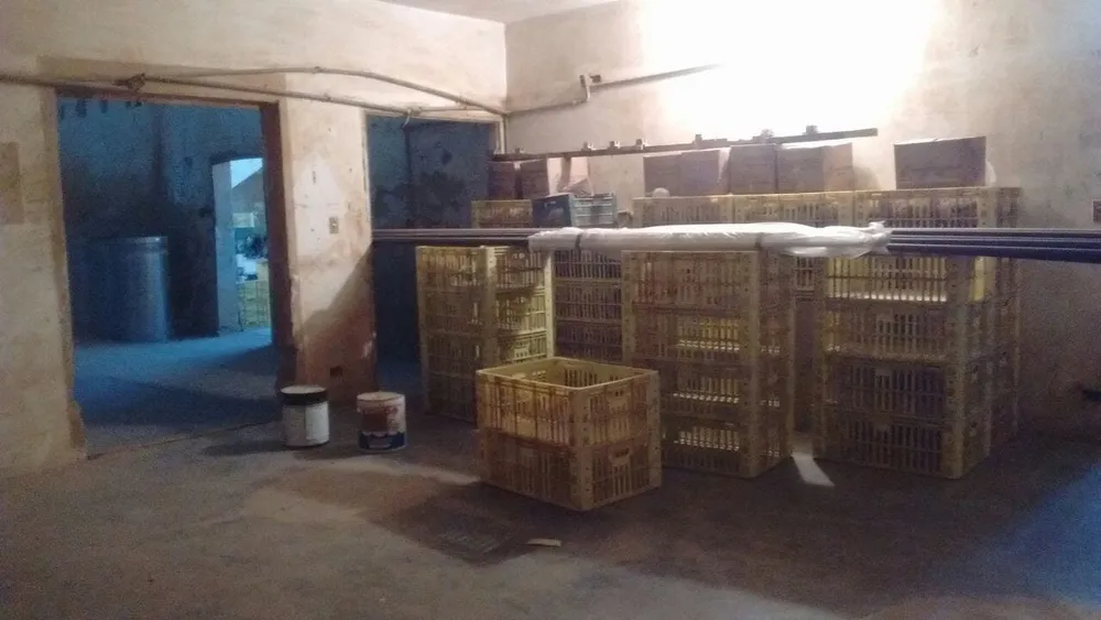 Depósito-Galpão, 500 m² - Foto 3
