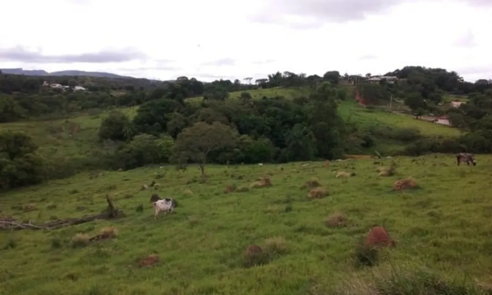 Terreno, 7 hectares - Foto 3