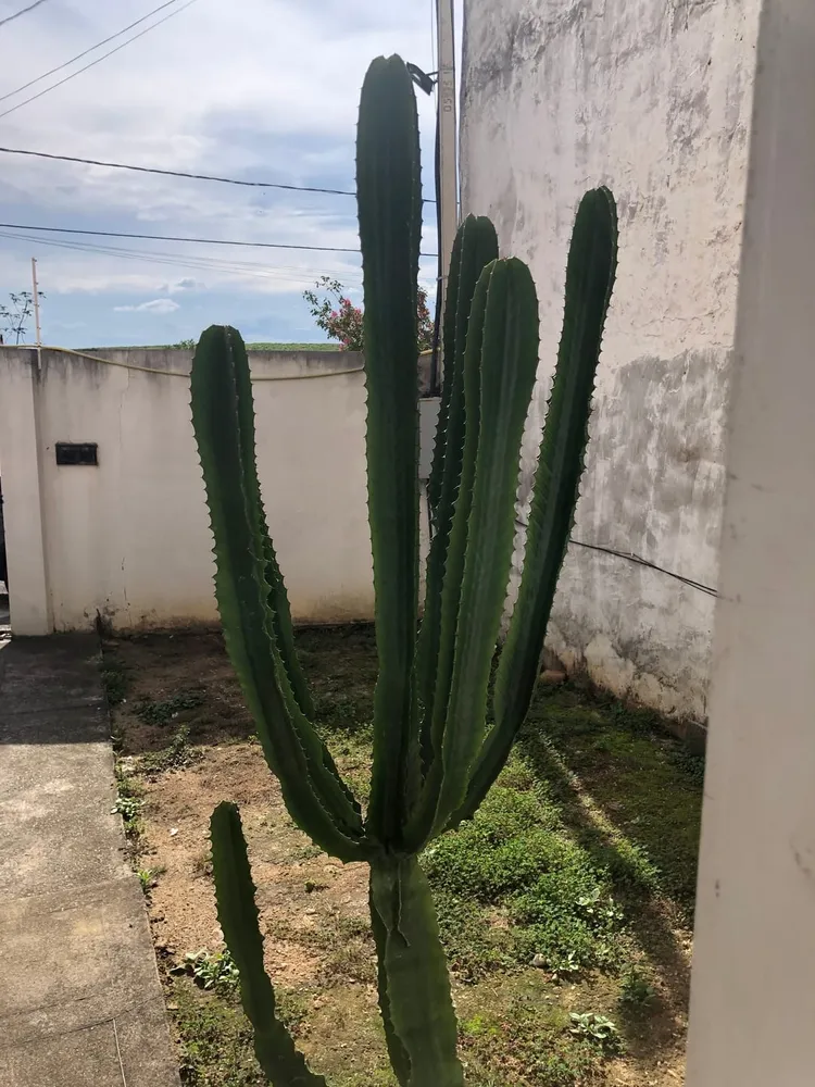 Sobrado, 3 quartos, 112 m² - Foto 4