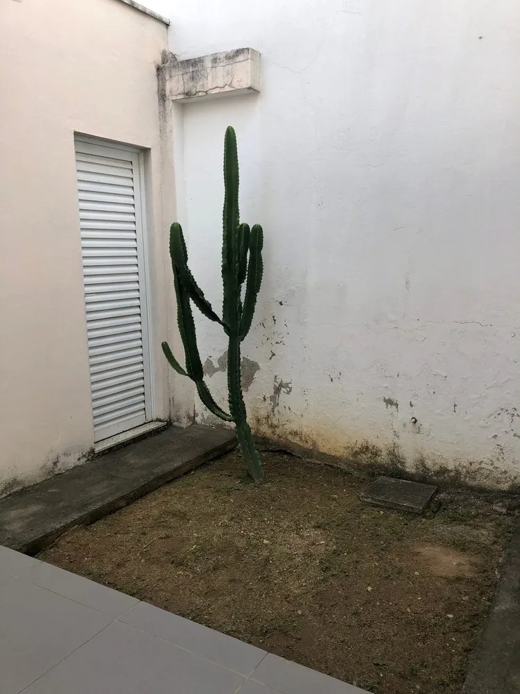 Sobrado, 3 quartos, 112 m² - Foto 2