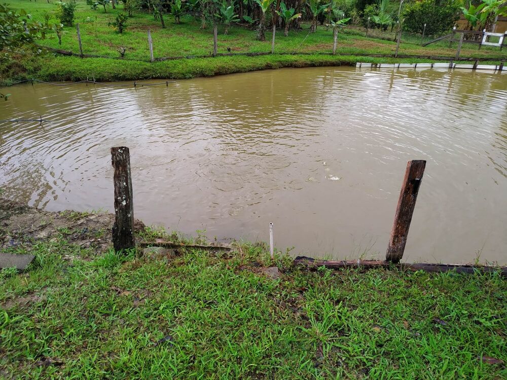 Sítio, 3 quartos, 3 hectares - Foto 2