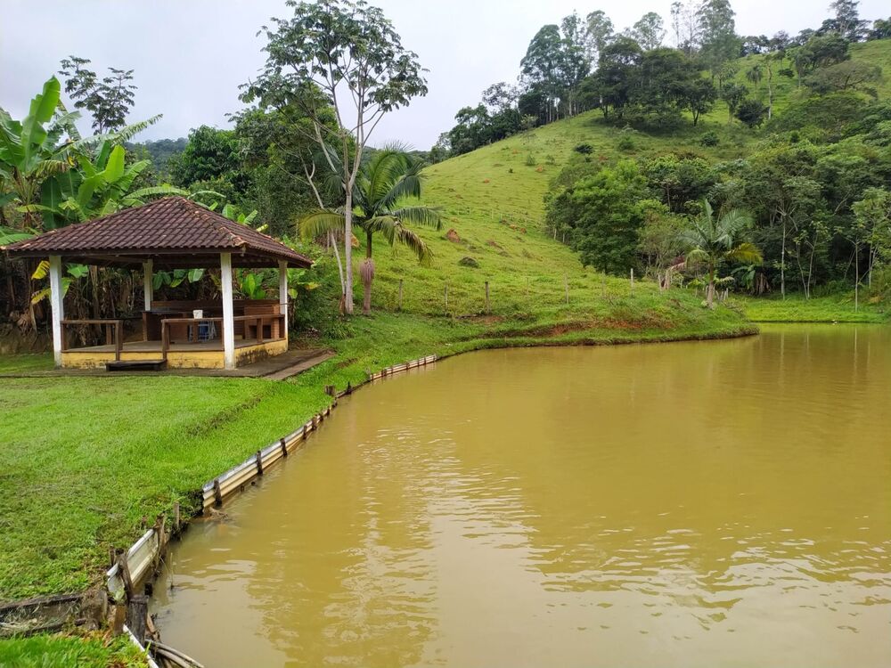 Sítio, 3 quartos, 3 hectares - Foto 6