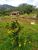 Sítio, 3 quartos, 3 hectares - Foto 4