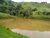Sítio, 3 quartos, 3 hectares - Foto 3