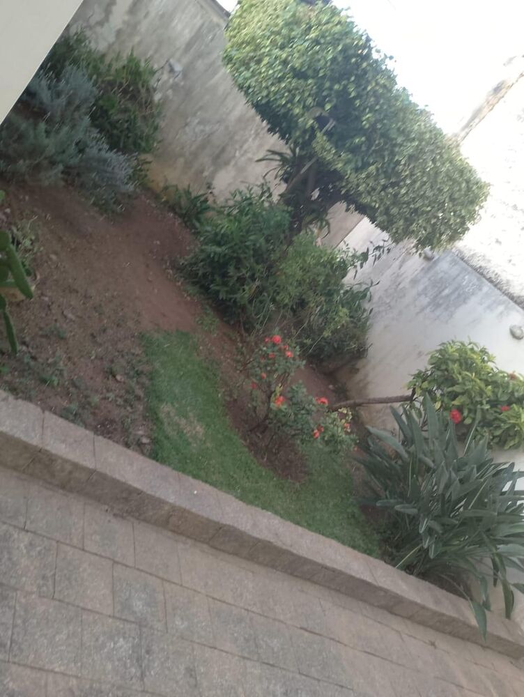 Apartamento, 2 quartos, 66 m² - Foto 11