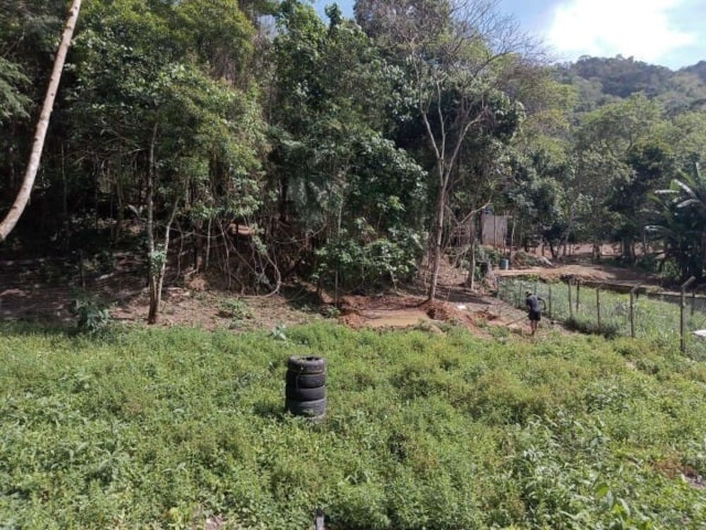 Terreno, 2 hectares - Foto 2