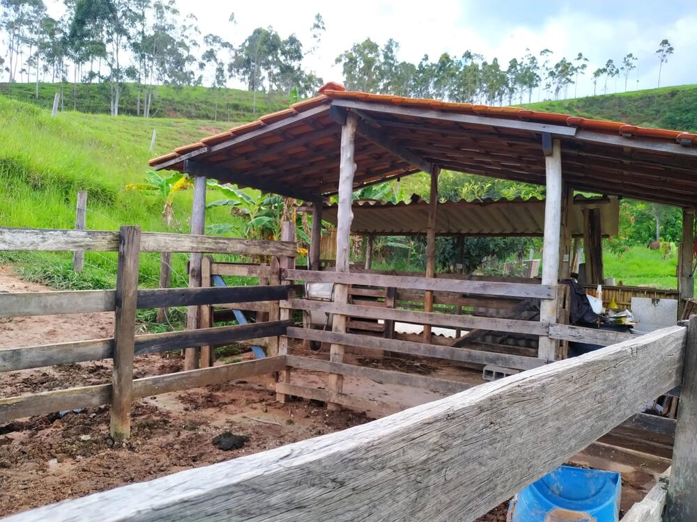 Sítio, 4 quartos, 4 hectares - Foto 12