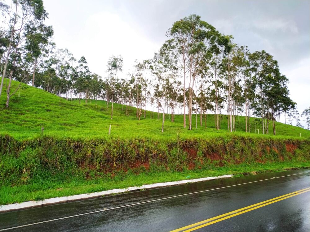 Sítio à venda com 4 quartos, 90000m² - Foto 3