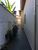 Casa, 2 quartos, 162 m² - Foto 3