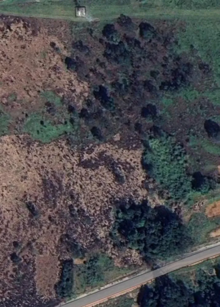 Terreno, 5 hectares - Foto 3