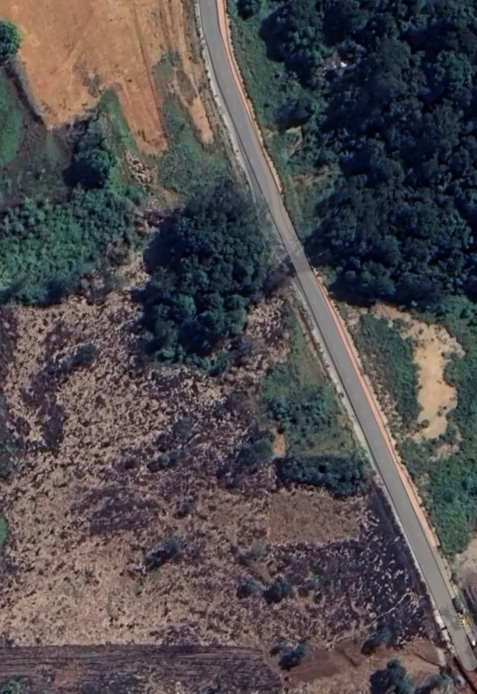 Terreno, 5 hectares - Foto 2