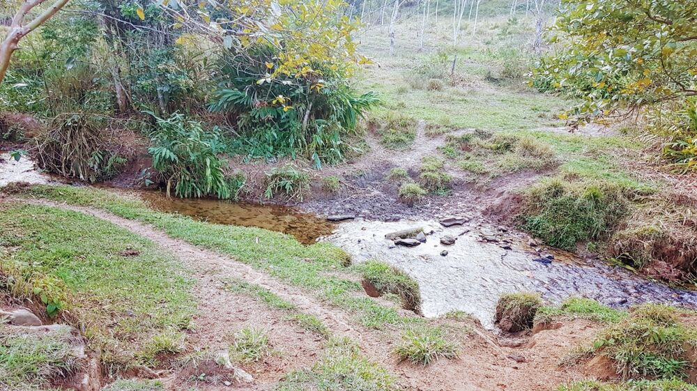 Sítio à venda com 1 quarto, 110000m² - Foto 2