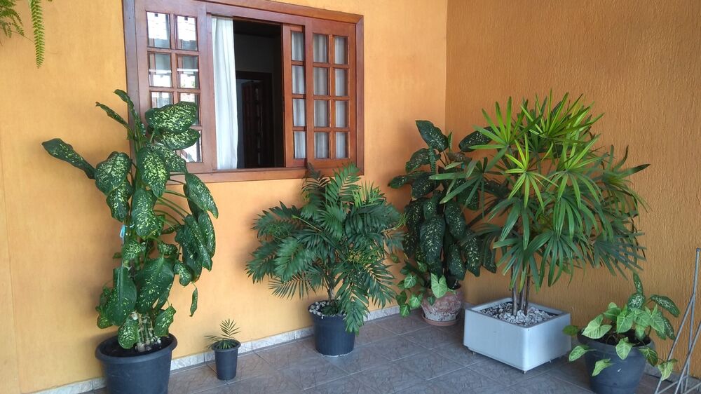 Casa, 3 quartos - Foto 3
