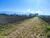 Terreno, 3 hectares - Foto 3