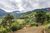 Sítio, 9 quartos, 2 hectares - Foto 4